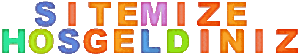 www.seslivatan.net.tr